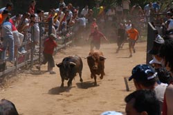 20070807200824-sbv.jpg